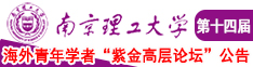 艹大几把骚逼视频南京理工大学第十四届海外青年学者紫金论坛诚邀海内外英才！